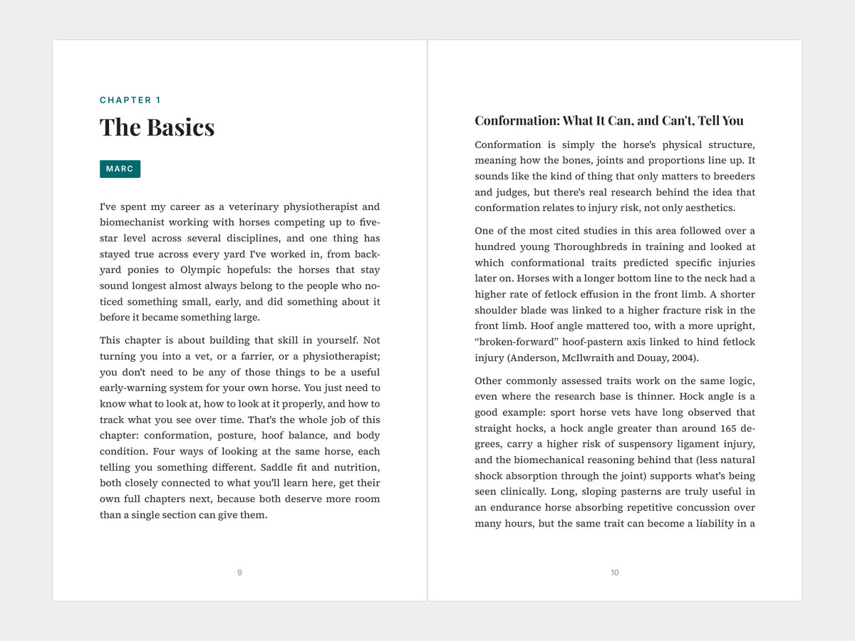 Opening pages of chapter 1, The Basics, written by Marc Beaussart